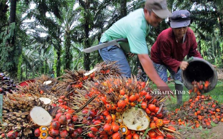 The Malaysian Palm Oil Association (MPOA) is disappointed that the 2024 Budget has ommitted two critical requests which would have acted as key enablers for the industry’s growth.