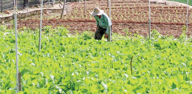 Challenges Faced By Agricultural Sector In Malaysia