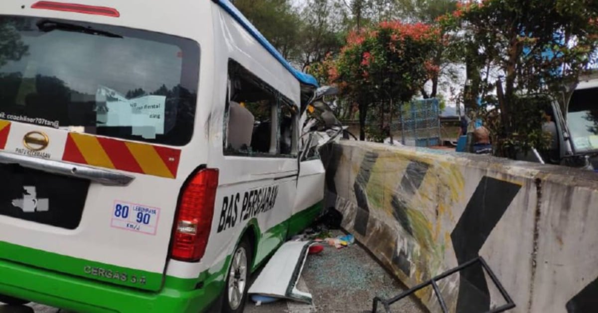 Tourist Van Crash: Eighth Victim Dies In Hkl, One Discharged 