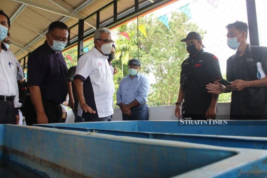 Minister in the Prime Minister’s department (Special Tasks) Datuk Seri Mohd Redzuan Yusof (third from left) visiting the lobster farm at Kampung Bantayan in Tamparuli. - STR/ RECQUEAL RAIMI. 