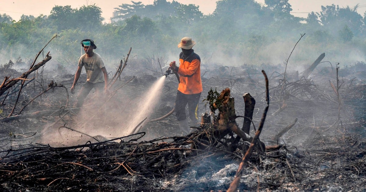 Malaysia Offers Help To Indonesia To Put Out Fires | New Straits Times