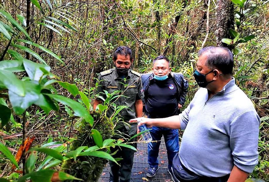 Sabah Tourism, Culture, and Environment Assistant Minister cum Sabah Tourism Board chairman Datuk Joniston Bangkuai (right) touring the Wild Orchid Garden while listening to a briefing by Sabah Parks ranger Benidict Joseph Busin at the Gunung Alab Substation. - Pic courtesy of SABAH TOURISM BOARD