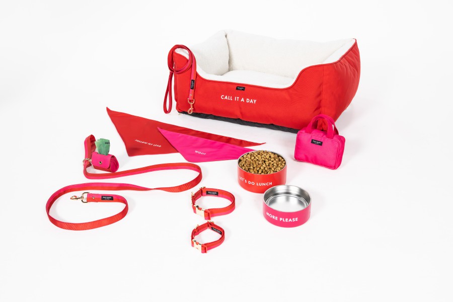 Share your love for all things trendy with your pet. 