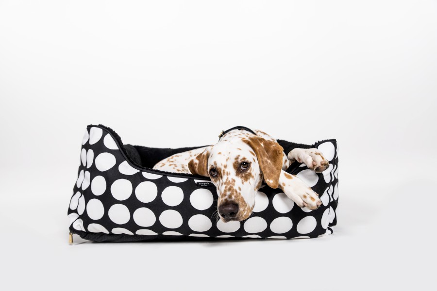 Let your pet sleep in style. 