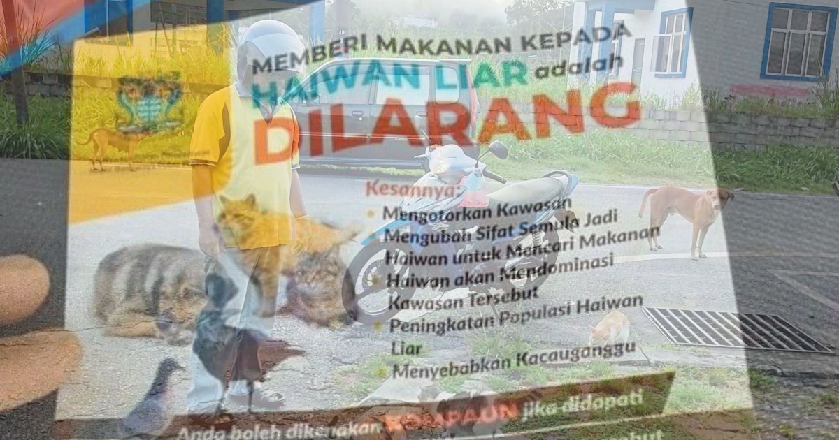 don-t-feed-wild-animals-pamphlet-to-prevent-littering-says-mbpp