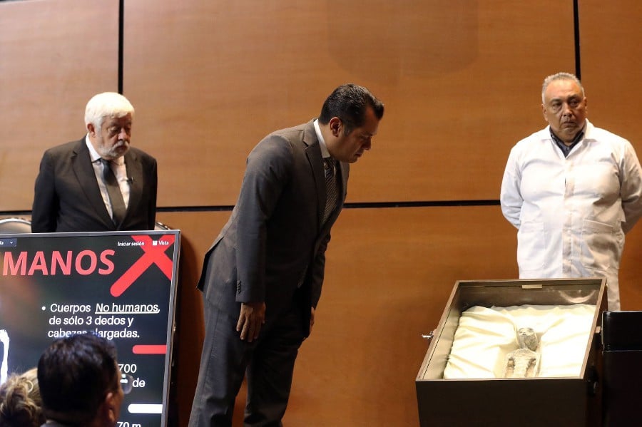  Congressman Sergio Gutierrez (L) looking at the body of an extraterrestrial being exhibited at the Mexican Congress in Mexico City. - AFP PIC