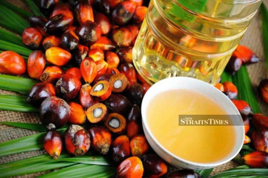 The truth is palm oil has many virtues which are not widely known and appreciated. - File pic