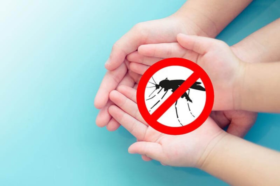 #HEALTH: The endless battle against dengue | New Straits Times ...