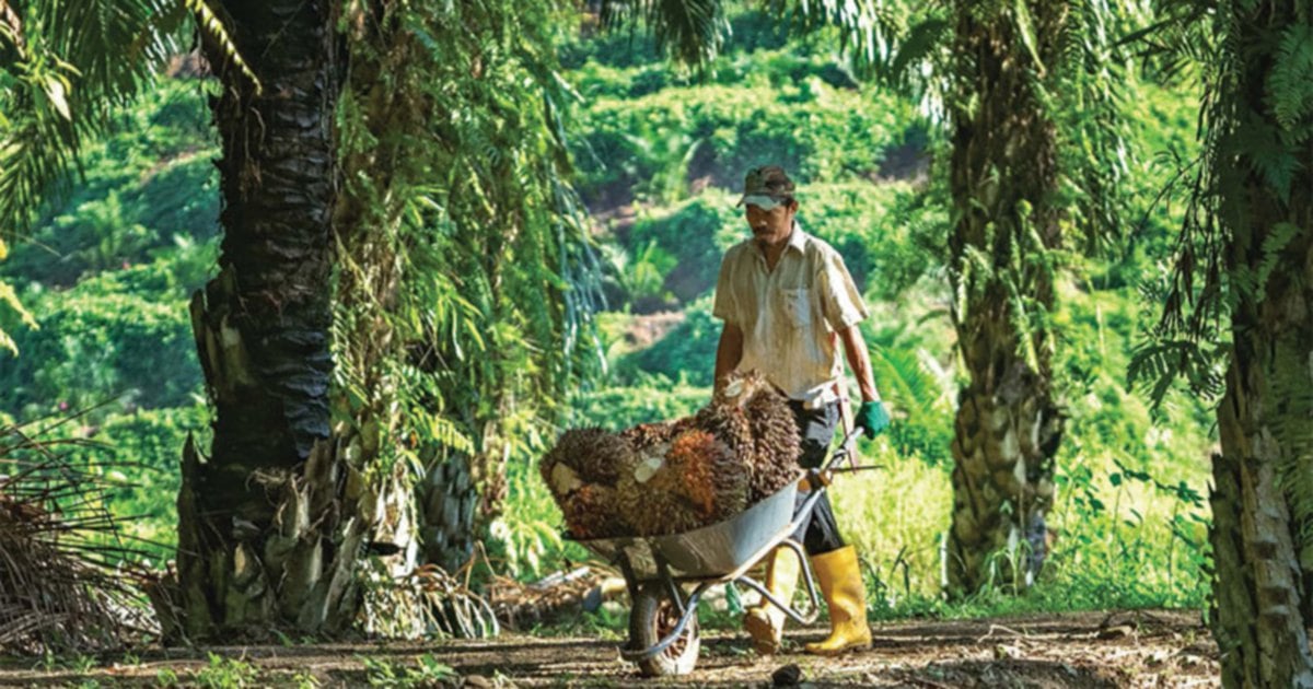 Celebrating 100 Years Of Malaysian Palm Oil (Part 2) | New Straits Times