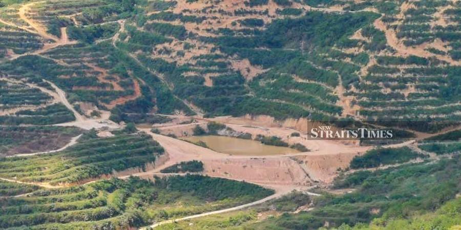 This file pic dated July 6, 2022, shows the water catchment area at the Musang King plantation at Gunung Inas in Baling. - Pic courtesy of NST reader. 
