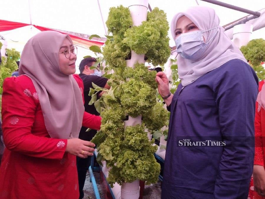 When commenting on Kada hydroponic planting project, which is in its pilot stage, Rina (right) said it is aimed at helping women, including housewives. - NSTP/SHARIFAH MAHSINAH ABDULLAH