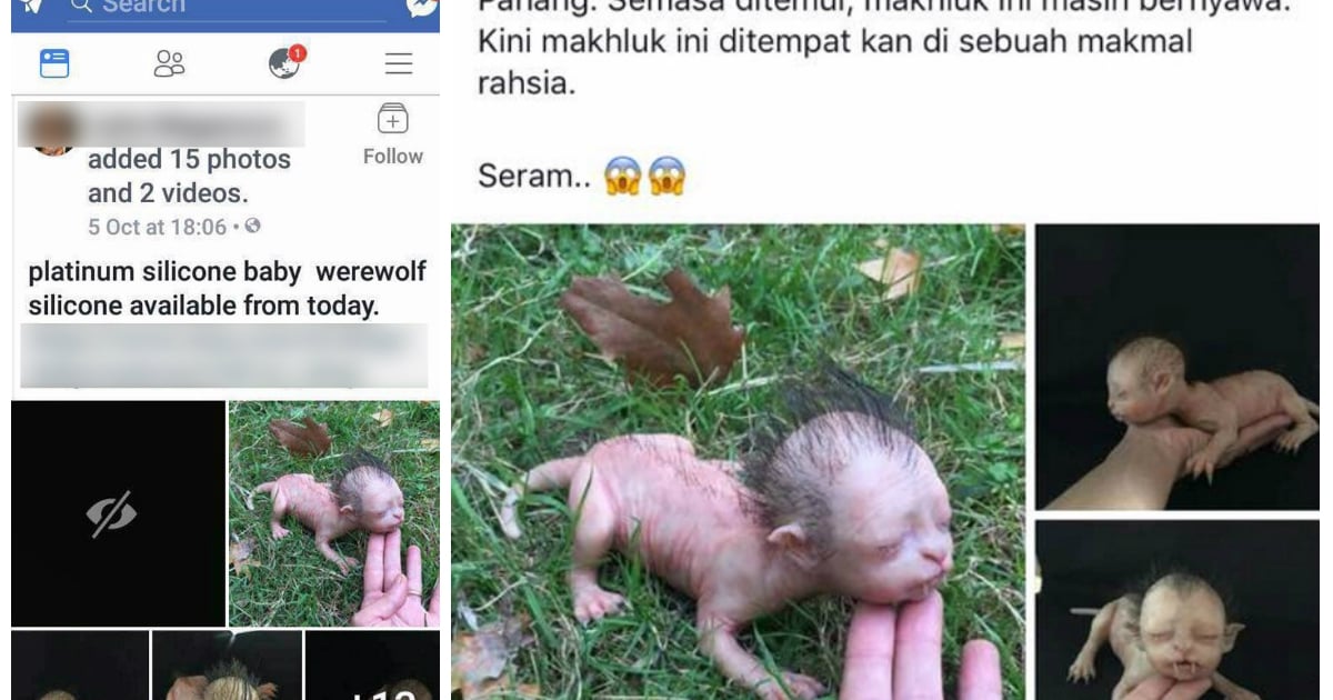 Police rubbish claims of 'mysterious creature with human face' found in  Pahang forests