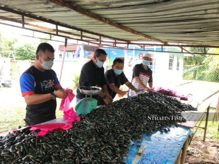 Najib (right) joins his volunteers and local fishermen to pack the 600kg of mussels that he bought. -NSTP/Zainal Aziz 