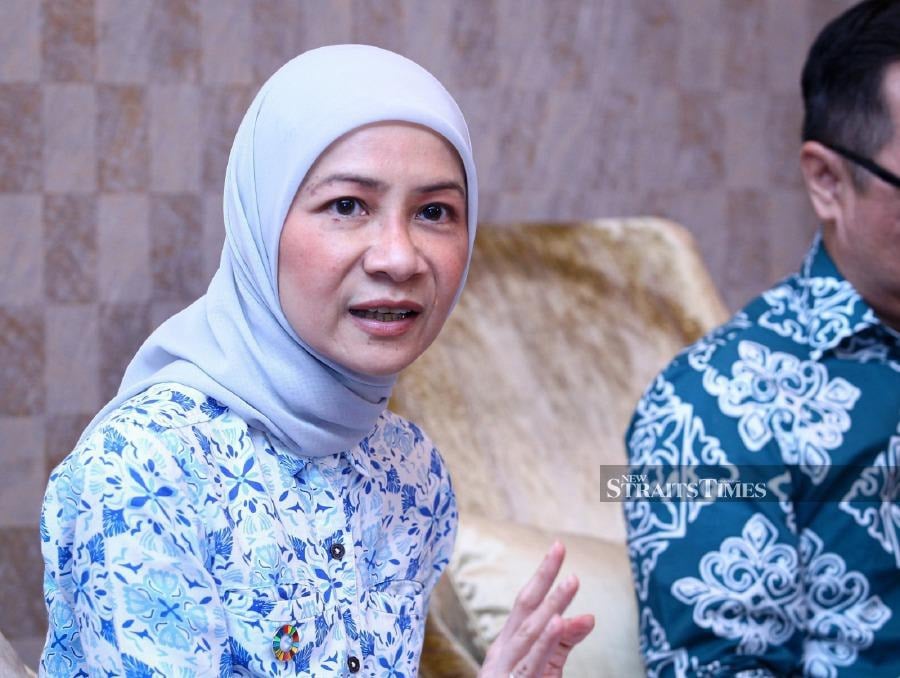 Malaysia's venture capital (VC) industry needs more involvement from the private sector, Wahed Ventures board member and advisory panel member Noor Amy Ismail said.