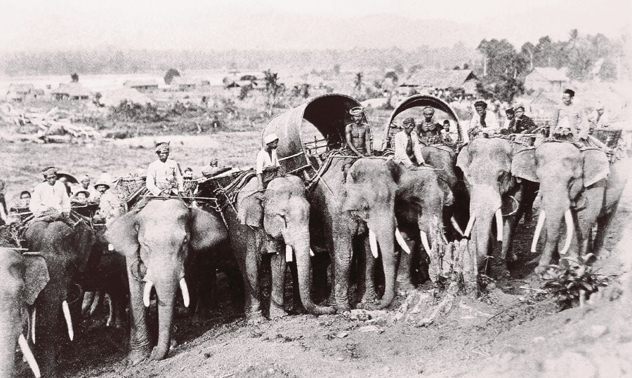  Elephants played a crucial role in transporting tin ore in the Kinta Valley. 
