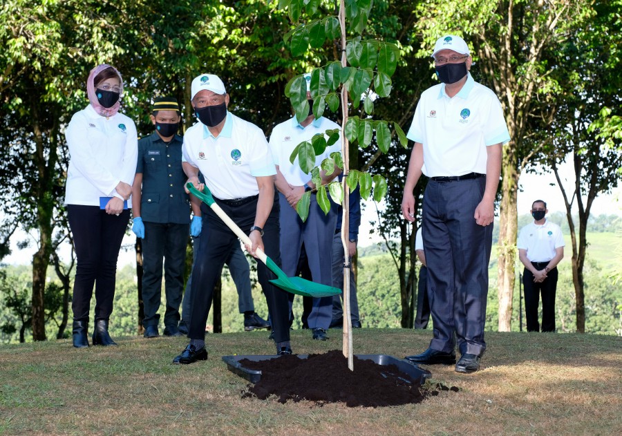 Two weeks ago, Prime Minister Tan Sri Muhyiddin Yassin launched the 100 Million Tree-Planting Campaign as part of the Greening Malaysia Programme and the national agenda to address climate change and improve quality of life. - Bernama pic