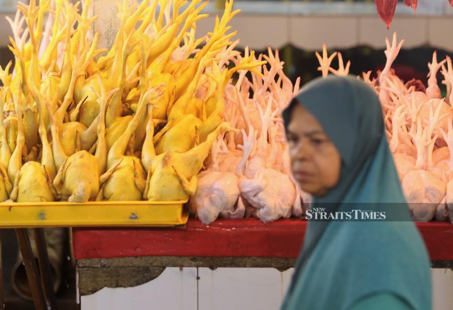  A customer is seen walking at the Chow Kit wet market to purchase daily goods including chicken. -NSTP/MOHAMAD SHAHRIL BADRI SAALI