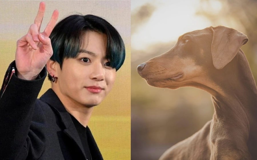 BTS' Jungkook launched an Instagram account for his pet Dobermann named Bam on April 15 which has garnered much attention from fans. - Pic from AFP and IG