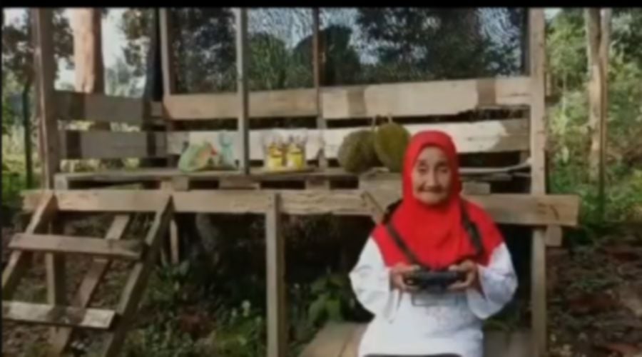  A video of an elderly woman using a drone to manage her durian orchard has gone viral on social media. — CREDIT SOCIAL MEDIA