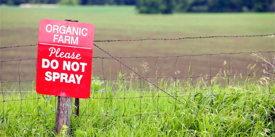 Organic farming avoids the use of most synthetic materials, including pesticides and antibiotics. (picture from ecowatch.com)