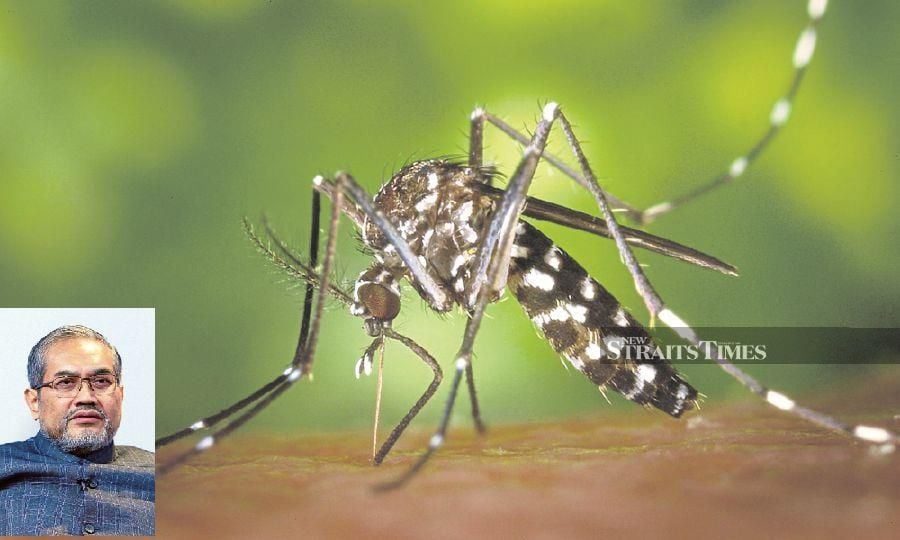 Professor Datuk Dr Awang Bulgiba Awang Mahmud (inset) says genetic mutations in Aedes mosquitoes in response to the widespread use of insecticides are likely the cause of their heightened resistance. - NSTP file pic