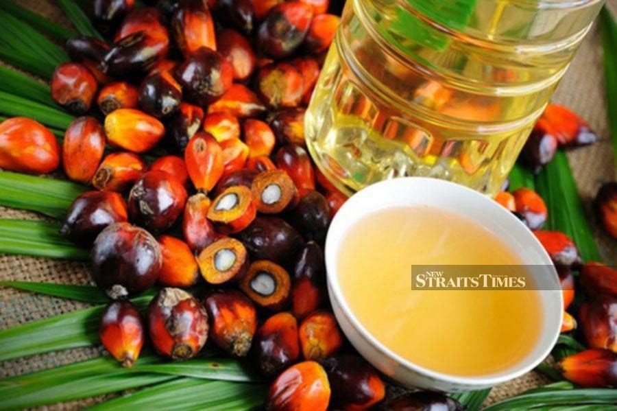 Ai Technology Can Be Game Changer For Palm Oil Industry New Straits