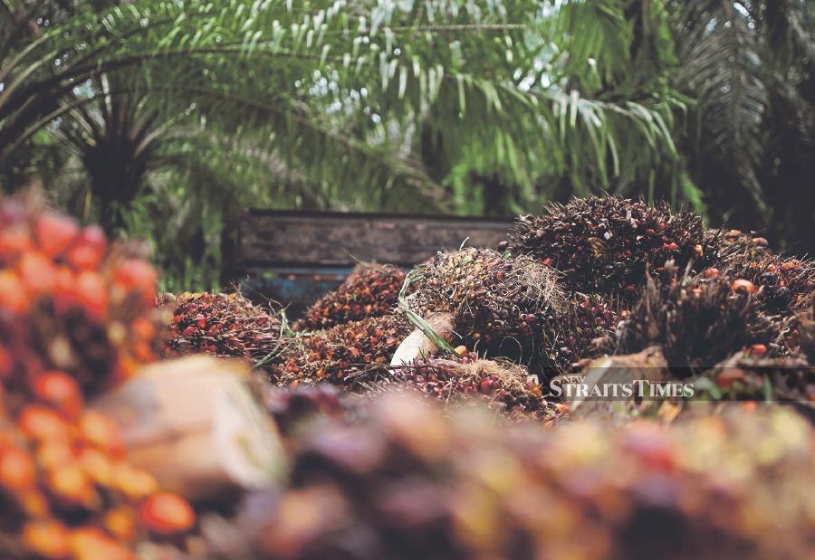 Malaysia’s palm oil stocks at the end of January fell 11.83 per cent from the previous month to 2.02 million metric tons, more than expected, data from industry regulator the Malaysian Palm Oil Board (MPOB) showed on Tuesday.   