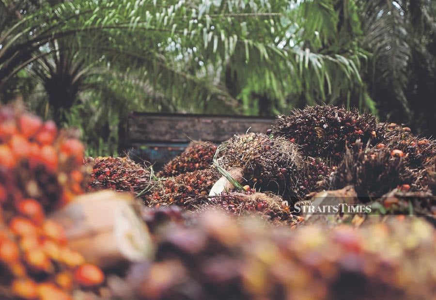 Malaysia’s palm oil stocks at the end of March fell 10.68 per cent from the previous month to 1.71 million metric tons, data from the industry regulator showed on Monday.