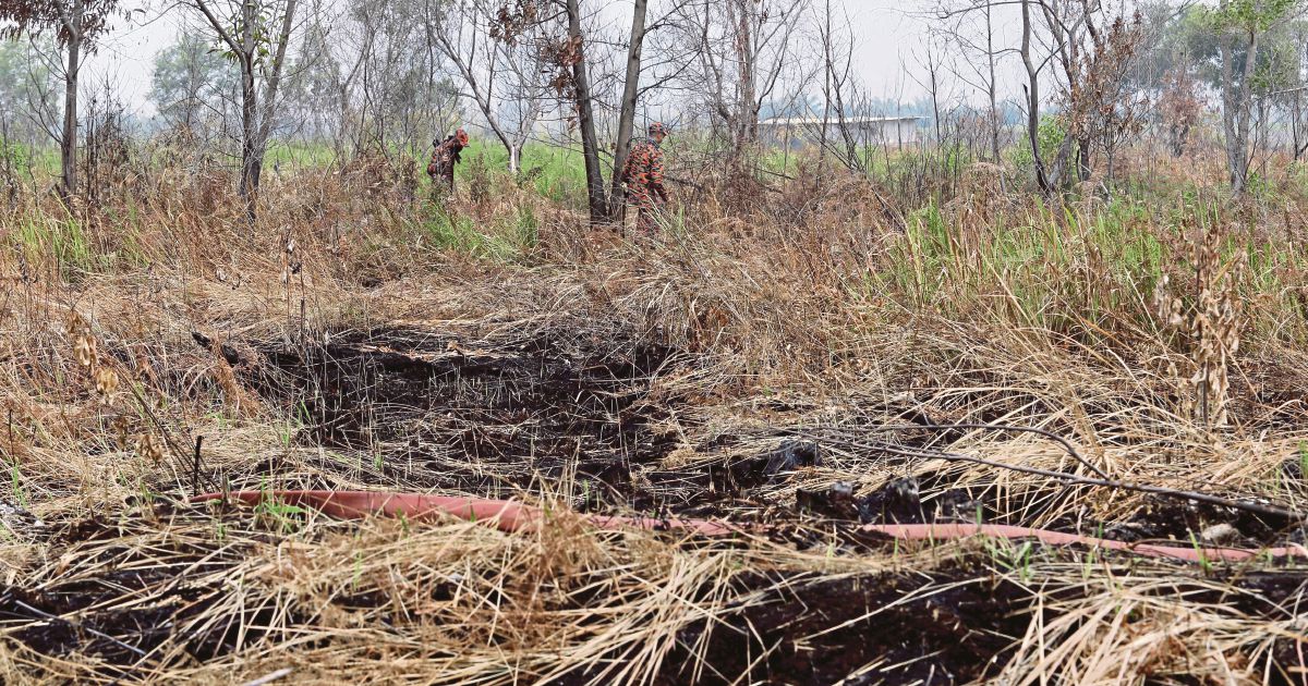 peat soil in malaysia