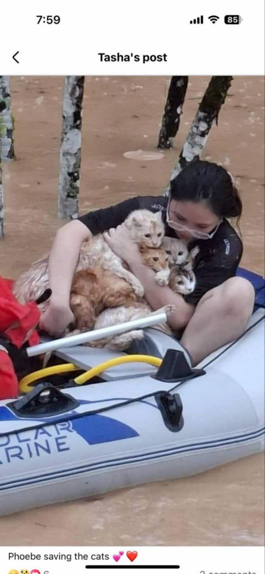 A woman rescuing cats during floods. -- Pic from socmed