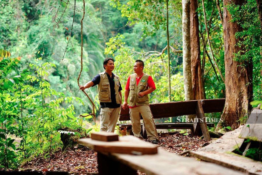 Imbak Canyon is a pristine and untouched rainforest heritage with over 600 species of plants 81 species of mammals 245 species of birds and 22 species of freshwater fishes.