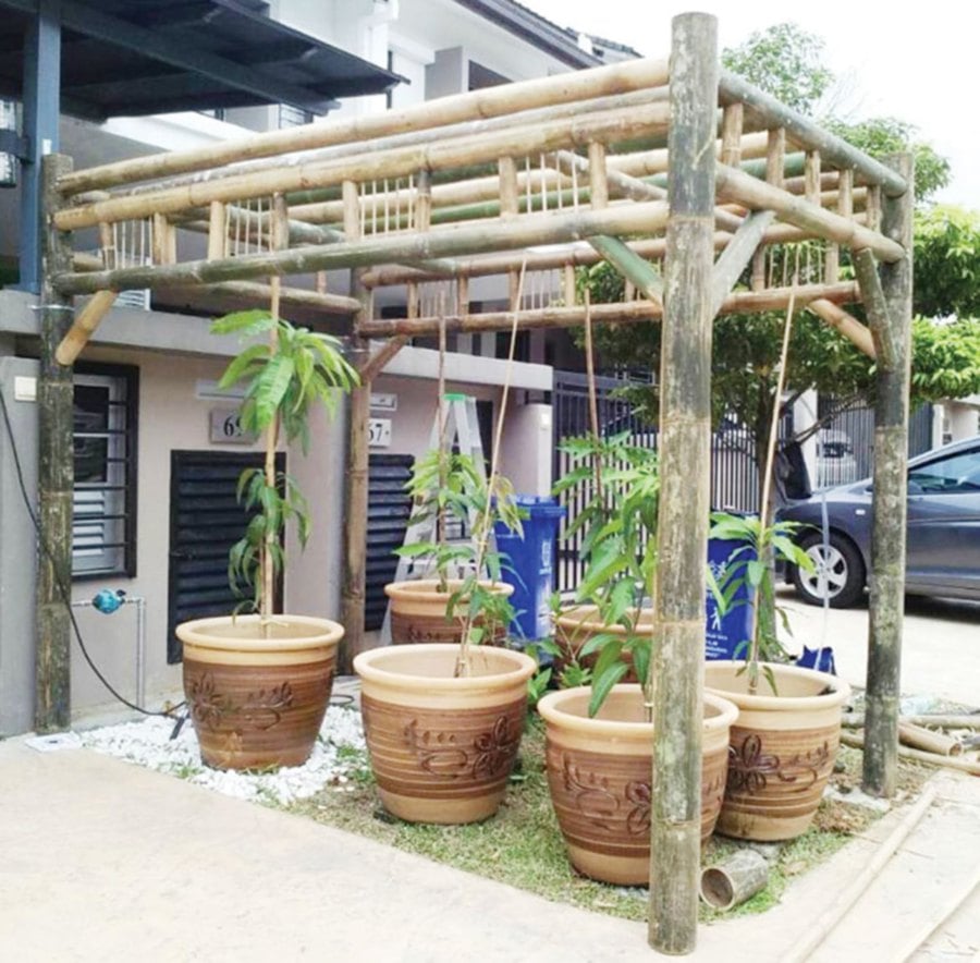 A bamboo pergola outside a client’s home.