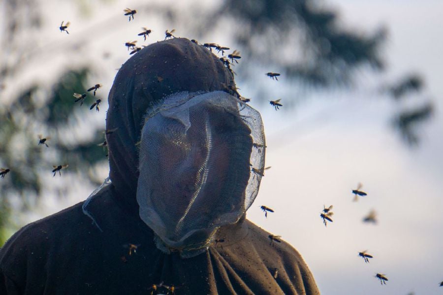 A honey hunter donning a homemade suit. - Pic courtesy of Lano Lan.