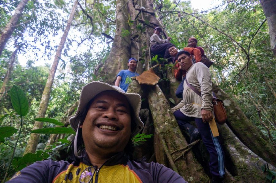 Former NSTP photographer Lano Lan, 46, and his team members under a tree with honey beehives at Long Pasia forests. - Pic courtesy of Lano Lan.