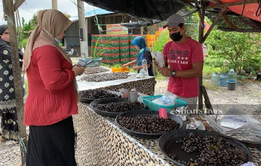 Wan Rubiah’s stall sells four types of etok to her customers priced from RM2. -- NSTP/SHARIFAH MAHSINAH ABDULLAH 