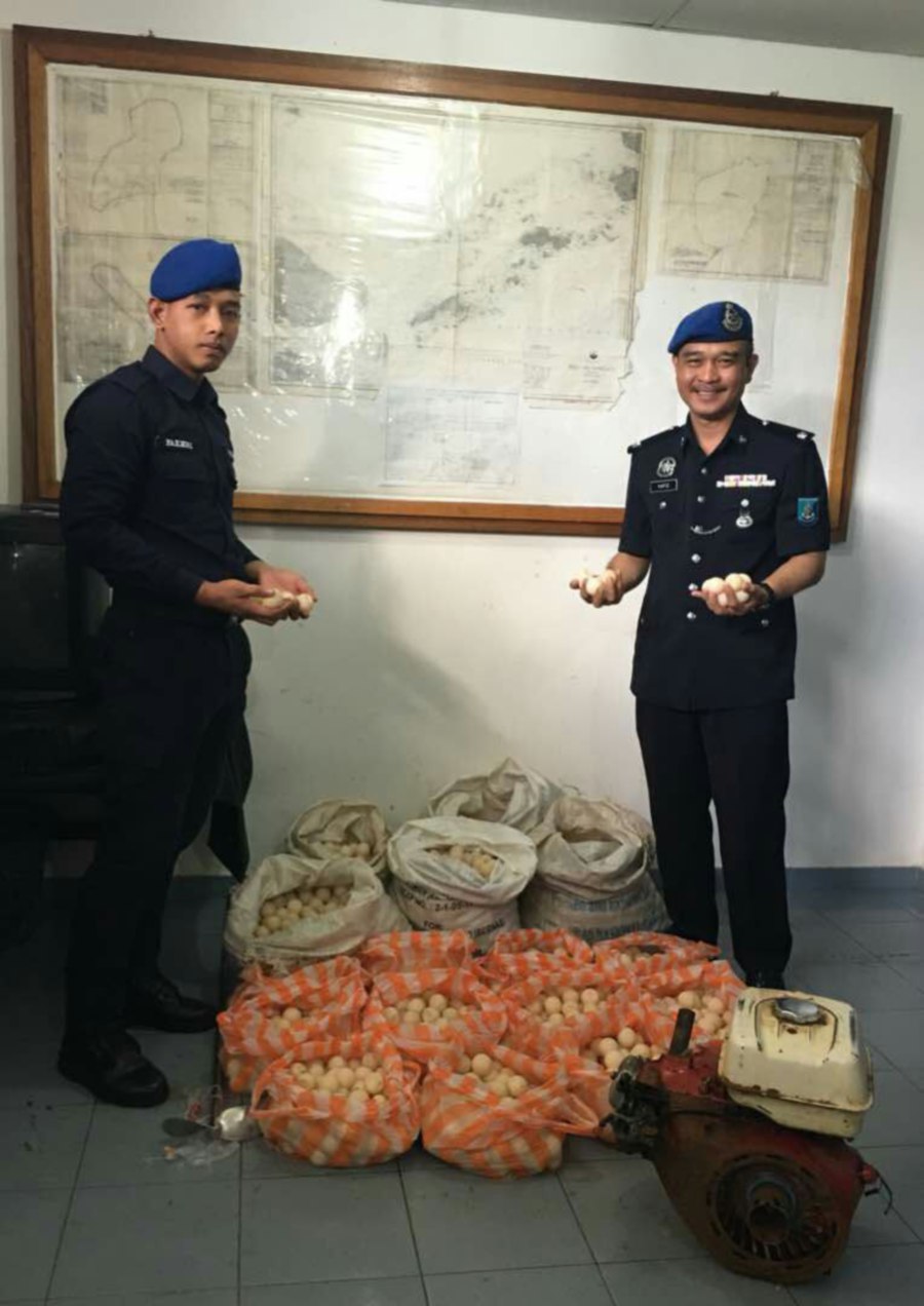 Following the seizure, Sabah Marine police nabbed the boat skipper. Pix courtesy of Sabah Marine Police. 