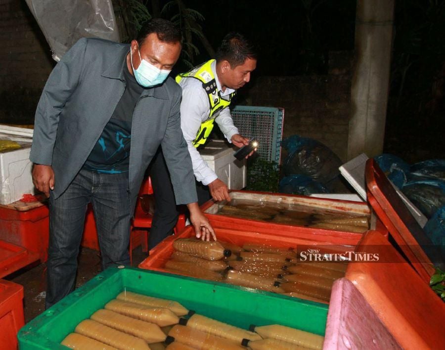 Police arrested nine men and seized 704 bottles of processed ketum in a narcotics bust at a house used as a processing lab in Kampung Padang Balang here, last night.  - NSTP/MUSTAFFA KAMAL