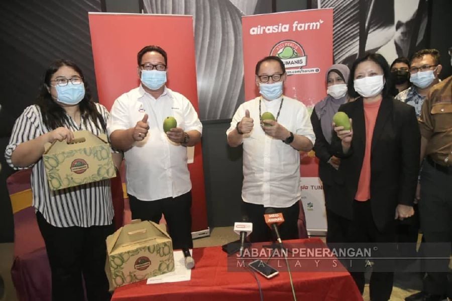 Deputy Chief Minister Datuk Seri Dr Jeffrey Kitingan (3rd from left) looking at Harumanis mangoes on display at the airasia farm media session in Kota Kinabalu yesterday. NSTP/courtesy of Sabah Information Department