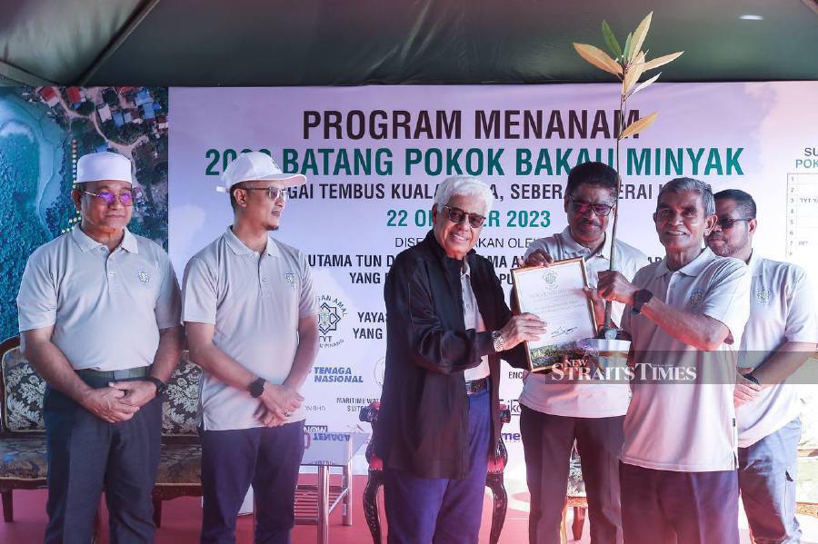 Yayasan Amal TYT PP plants 2,000 pokok bakau minyak to benefit ...