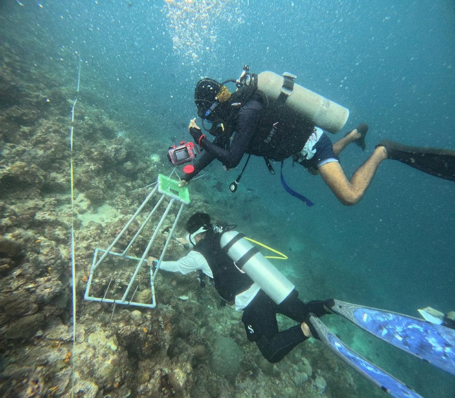 Volunteers doing reef health survey off Semporna waters. - Pic courtesy of Reef Check Malaysia.