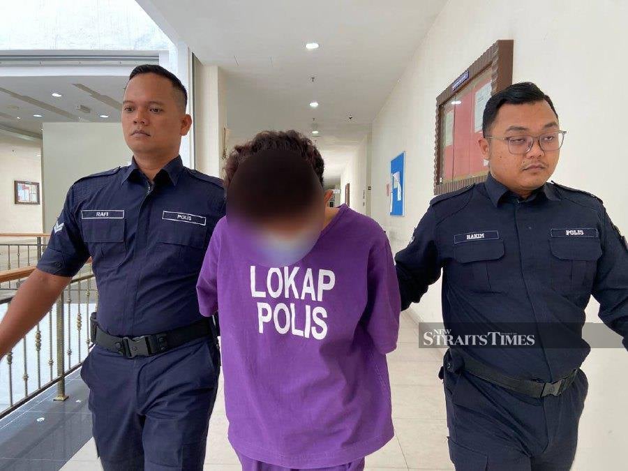 The accused, Muhammad Zarul Hashimme Md Nordan @Nordin, 24, made the admission after the charge under Section 376 (1) of the Penal Code was read to him. - NSTP/Alias Abd Rani