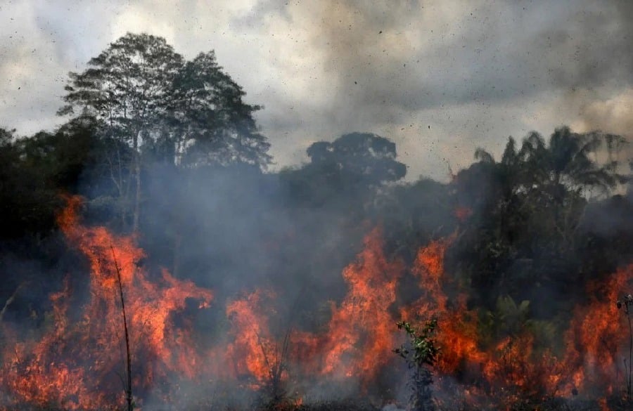 Indonesia’s meteorology agency has detected five forest and land fire hotspots in Riau province, specifically in the districts of Bengkalis, Kuantan Singingi, and Indragiri Hulu. - File pic, for illustration purposes