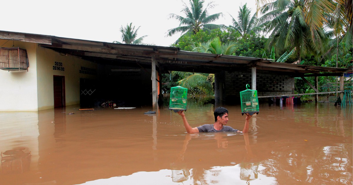 Pahang flood situation improving slightly | New Straits Times