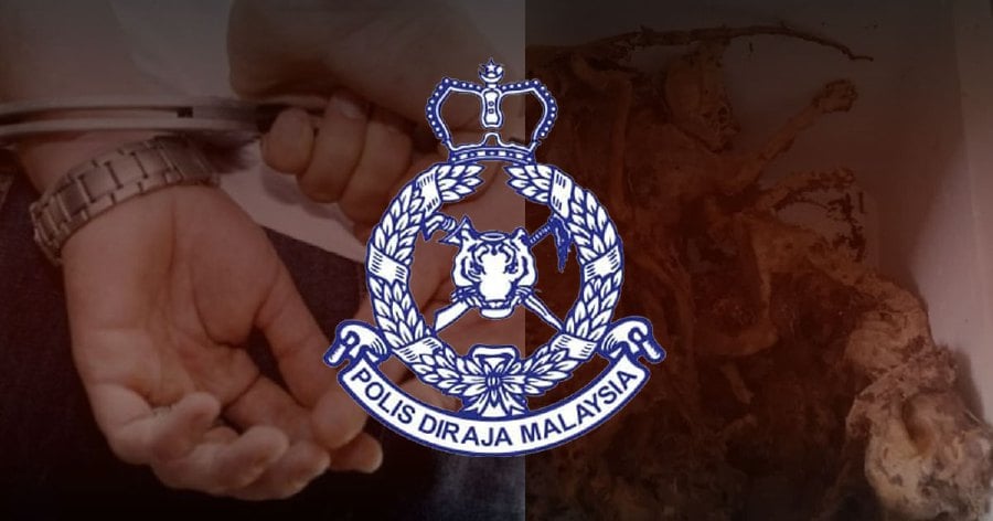 Police today arrested a man to assist in investigations into the discovery of cat carcasses and skeletons at a condominium unit in Bandar Sri Permaisuri here. - NSTP file pic