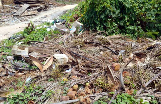Environmental pollution a big problem for Terengganu's islands