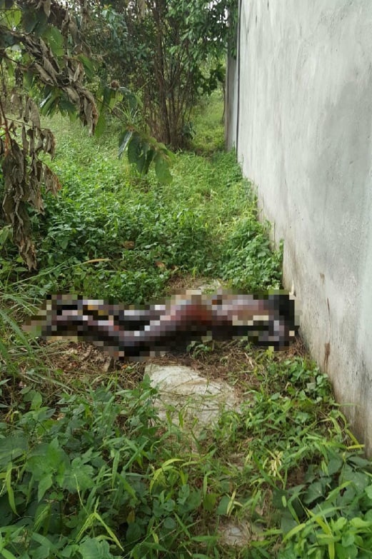 Decomposed body found in abandoned Batu Pahat house  New 
