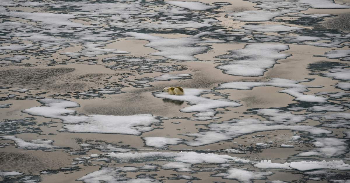 'Alarm Bells' As UN Validates Record Arctic Temperature | New Straits Times