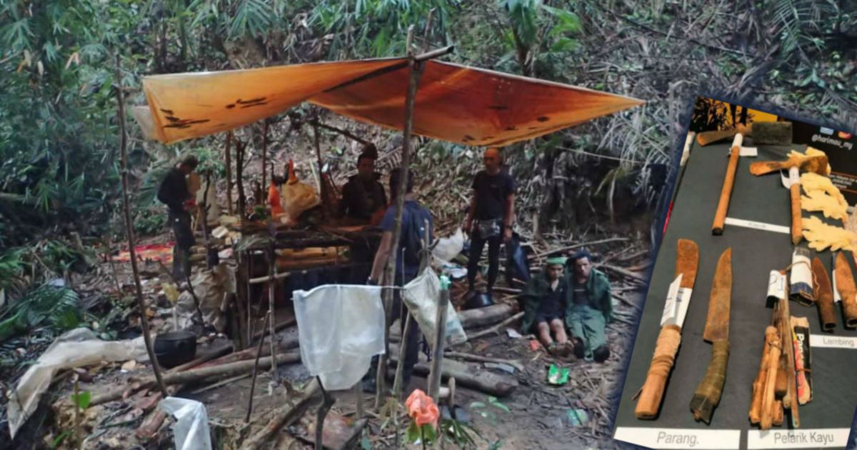 Xavier Hails Highest Fine Slapped On Two Vietnam Poachers