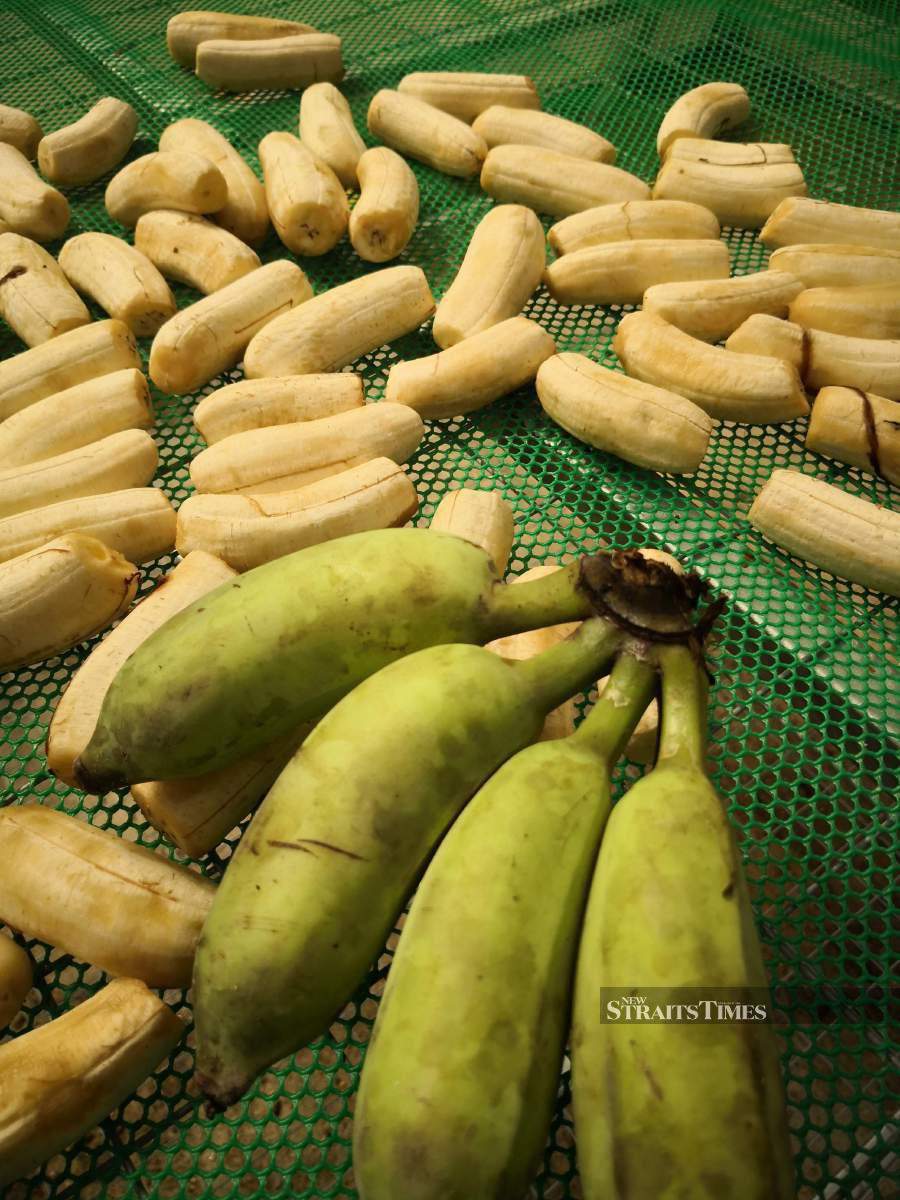  The bananas are dried for several days before they’re seasoned and cut into long, thin strips.