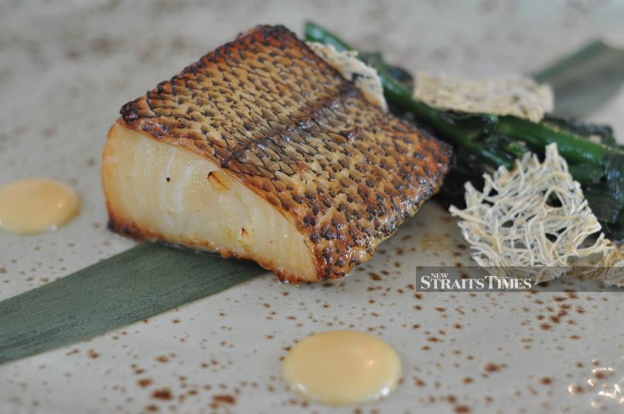  Honto Cod, broiled black cod marinated with miso and sake.
